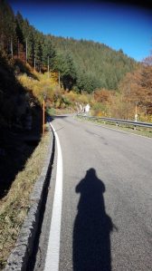 The Black Forrest National Park 